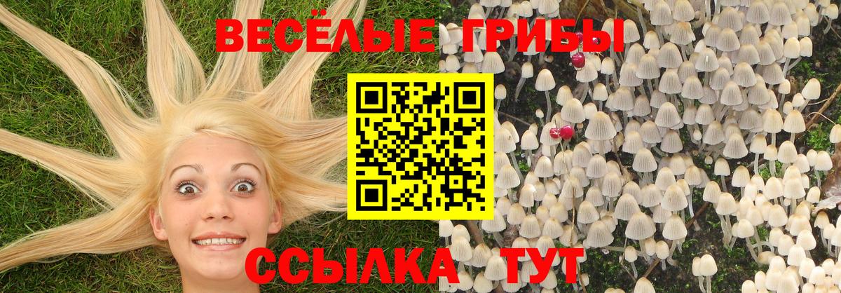 Ликино-Дулёво  Псилоцибиновые грибы MAGIC MUSHROOMS  Вход с VPN 
